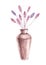 Watercolor vase with dry spikelets on a white background in boho style