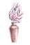 Watercolor vase with protea on a white background