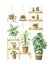 Watercolor vector aesthetic room decor and indoor plants.