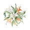 Watercolor vector arrangement of Lily flowers and green leaves.