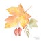 Watercolor vector autumn bouquet of leaves, branches and dogrose berries isolated on white background.