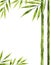 Watercolor vector bamboo stem with green leaves and copy space.