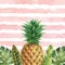 Watercolor vector banner tropical leaves and pineapple isolated