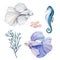 Watercolor vector Beta fish, seahorse, seaweed and shell.