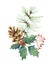 Watercolor vector Christmas bouquet with pine cone, fir branches and leaves.