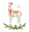 Watercolor vector Christmas card Llama or alpaca and fir branches.