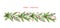 Watercolor vector Christmas garland with fir branches and red berries.