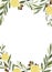 Watercolor vector frame of olive branches and lemon.