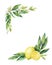 Watercolor vector hand drawn wreath with lemon and leaves.