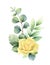 Watercolor vector hand painted clipart with green eucalyptus leaves and roses.