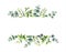 Watercolor vector hand painting horizontal banner with green leaves and branches.