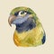 Watercolor vector Parrot bird