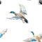 Watercolor vector pattern with ducks