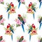 Watercolor vector rosella bird pattern