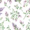 Watercolor vector seamless pattern with Alfalfa flowers and leaves isolated on white background.