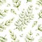Watercolor vector seamless pattern with Horsetail flowers and leaves isolated on white background.