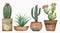 Watercolor vector set of cacti and succulent plants isolated on white background.