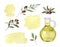 Watercolor vector set of glass bottle of olive oil, branches and spots.