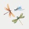 Watercolor vector summer dragonfly insect colourful illustrations set