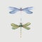 Watercolor vector summer dragonfly insect colourful illustrations set