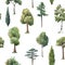 Watercolor vector tree seamless pattern forest oak fir birch, thuja linden baobab pine