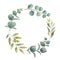 Watercolor vector wreath with green eucalyptus leaves and branches.