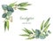 Watercolor vector wreath with green eucalyptus leaves and branches.