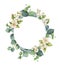 Watercolor vector wreath with green eucalyptus leaves, Jasmine flowers and branches.