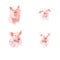 Watercolor vectors collection of little piggy. A variety of little piggy design.