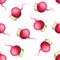 Watercolor vegetable seamless pattern on white background. Radish painted in realistic style.