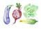 Watercolor vegetables cucumber leaf lettuce beet eggplant healthy healthy eco-friendly farm food