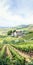 Watercolor Vineyard Painting: Captivating Cabincore Landscape Art