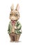 Watercolor vintage cartoon bunny rabbit in costume with gold pocket watch