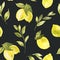 Watercolor vintage lemon seamless pattern, nature texture on black