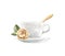 Watercolor vintage mug with rose and spoon