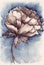 Watercolor vintage navy blue sepia flower peony