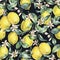 Watercolor vintage seamless pattern, branch of fruit lemon