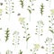 Watercolor vintage seamless pattern of Capsella Bursa-Pastoris Meadow Flowers