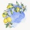 Watercolor vintage wreath, branch of yellow fruit lemo