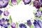 Watercolor violet isolated tulip set. Purple beautiful floral bloom design. Botany illustration