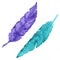 Watercolor violet turquoise cyan mint bird feather set