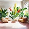 Watercolor of Vivid living room featuring a gigantic white bird of paradise plant placed on the