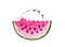 Watercolor watermelon illustration with little fishes