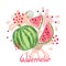 Watercolor watermelon juice vector illustration. Abstract juicy splash