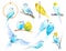 Watercolor wavy parrots. Budgerigars on a white background. Birds illustration