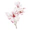 Watercolor wedding magnolia bouquet