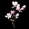 Watercolor wedding magnolia bouquet