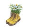 Watercolor wellies with flowers illustration in provence style. Rubber boots. Bouquet of flowers.