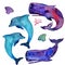 Watercolor whales, dolphins and sea elements isolated on a white background. Sky and stars texture. Sea, ocean life.