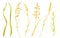 Watercolor wheat spikelets set. Hand painted ripe barley ears, rye grains isolated on white background. Cereal dry